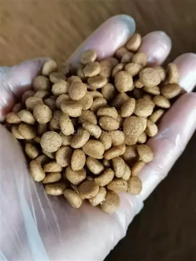 Fish Feed Pellet Machine